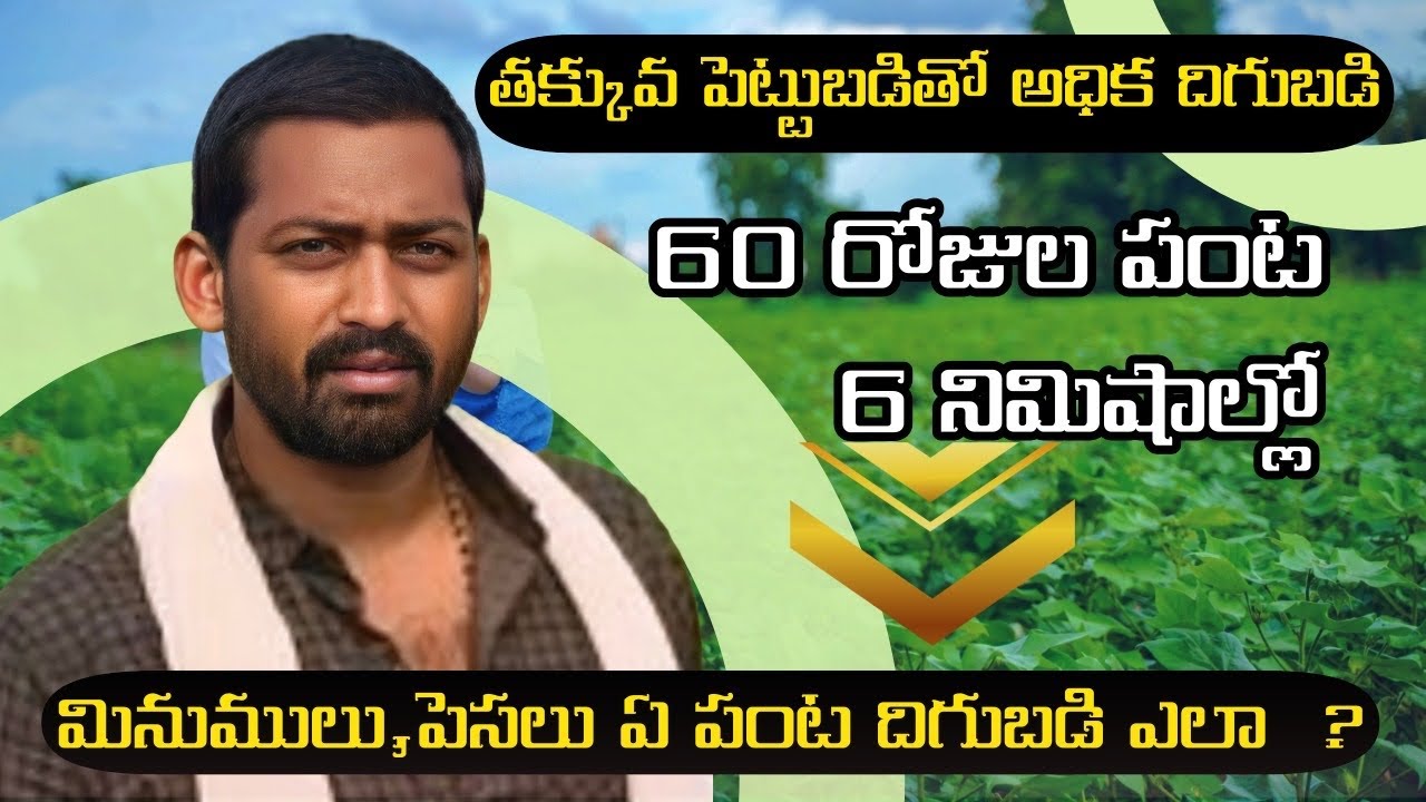 తక్కువ పెట్టుబడి | అధిక దిగుబడి🌾👉60 రోజుల పంట 6 నిమిషాల్లో పూర్తి సమాచారo