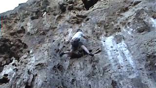 Download Lagu Bob's Hollow 2008 MP3