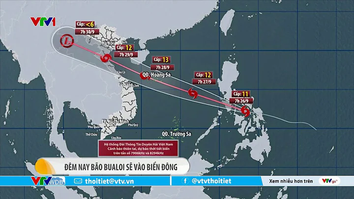 Bão Bualoi có khả năng tiếp tục tăng cấp khi vào Biển Đông | VTVWDB