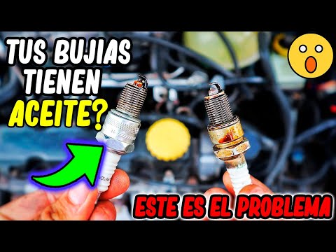🔴Por qué SALEN