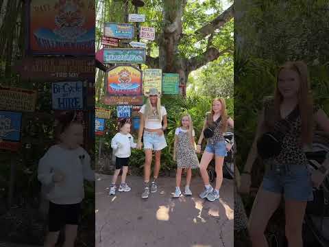 Animal Kingdom 🦁🦒🦓