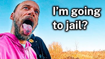 When Predators Realize They