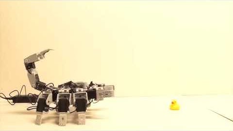 Scorpion Robot - Movement Generation
