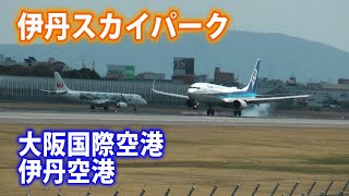 伊丹スカイパーク　大阪国際空港　伊丹空港　目の前に飛行機