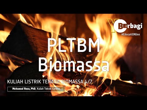 Video: Bagaimana biomassa menghasilkan listrik?