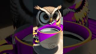 owl + surprise