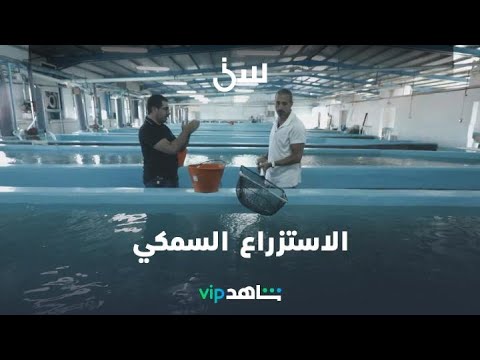 الاستزراع السمكي سين شاهد