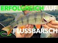 5 TIPPS fürs BARSCHANGELN vom Ufer | Fishing-King.de