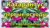 Полтавский Хуторок