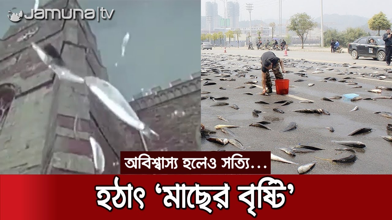 বৃষ্টির সাথে আকাশ থেকে পড়ছে জীবন্ত মাছ! | Fish Rain