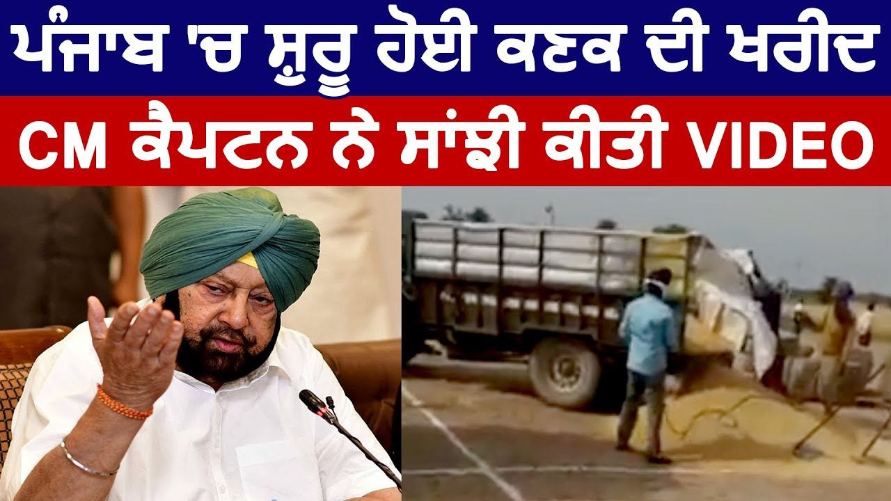 Punjab शुरू हुई गेहूं की खरीद, CM Captain ने Share की Video