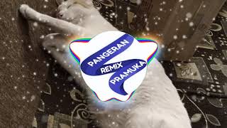 Dj Slow - C4n We Kiss For3ver - Auto Goyang??