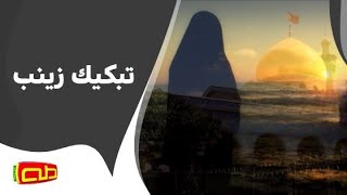 تبكيك زينب | المنشد محمد حسين خليل