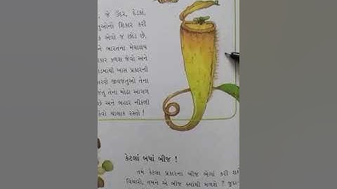 std 5 paryavaran ch 5