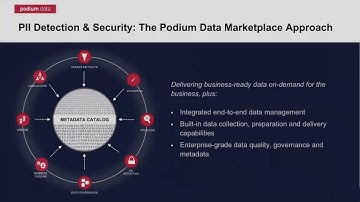 Podium Perspectives: Detecting and Securing PII in a Data Lake