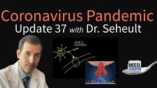 Coronavirus Pandemic Update 37: The ACE-2 Receptor - The Doorway to COVID-19 (ACE Inhibitors & ARBs)