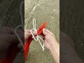 Still Struggling with Knots? This Method Will Make You a Pro in Seconds