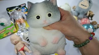 Squishesasmr15 Unique Squishes And Anti-Stressgiant Cat Taba Squishes