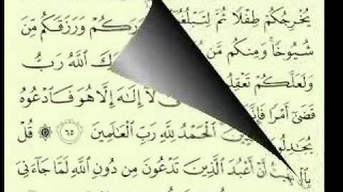 40  سورة غافر الجزء 2-2 الآية 85-41 تلاوة الشيخ ماهر المعيقلي مع الآيات