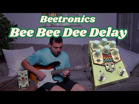 Beetronics Bee Bee Dee Analog Delay 🎸 Ten Minutes to Create a One