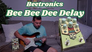 Beetronics Bee Bee Dee Analog Delay 🎸 Ten Minutes to Create a One-Minute Original Loop 🐝