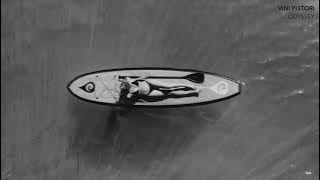 VINI PISTORI - ODYSSEY