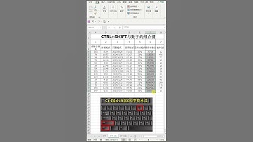 CTRL+SHIFT与数字键的组合键有哪些 #office #official #excel #shorts #快捷键 #组合键
