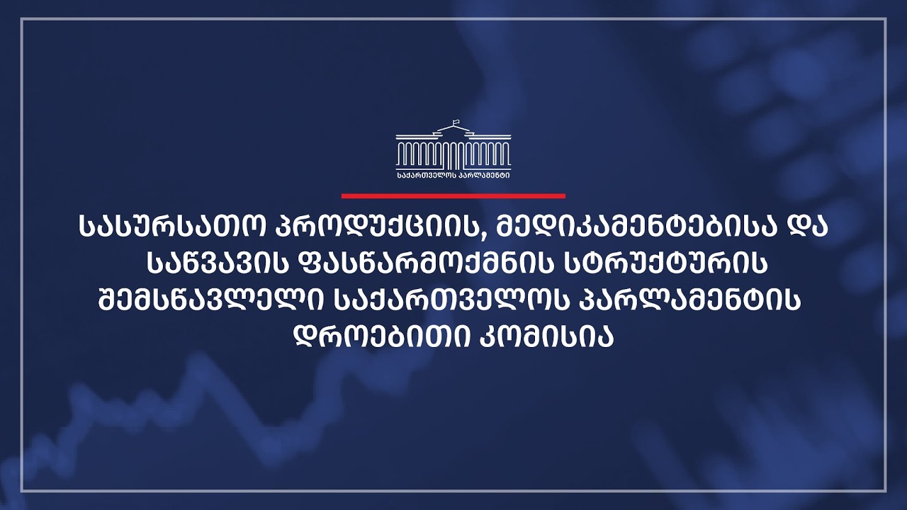 საქართველოს პარლამენტის დროებითი კომისიის სხდომა  N4 - 19.02.2026