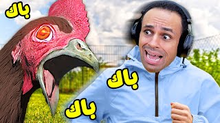 الفرخة والكتاكيت | Scary Chicken !! 🐣