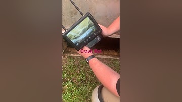 Crawl Bot Real Estate Inspection #palmettopro #southernladiesteam #crawlbot #newberry #newberrysc