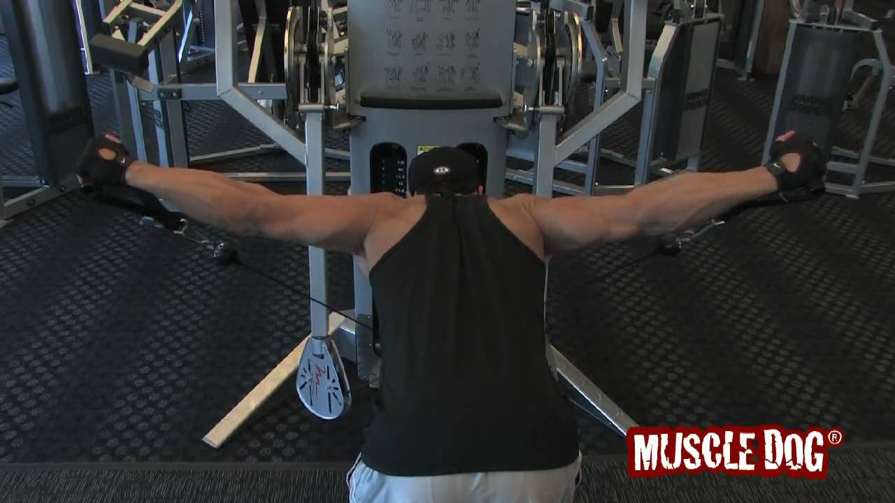 Presents Cable Bent Over Lateral Raise YouTube
