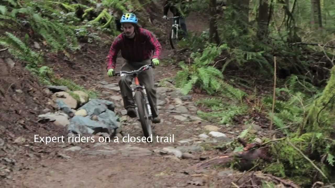 Silent Swamp  - An Evergreen Trail Building "Mockumentary"