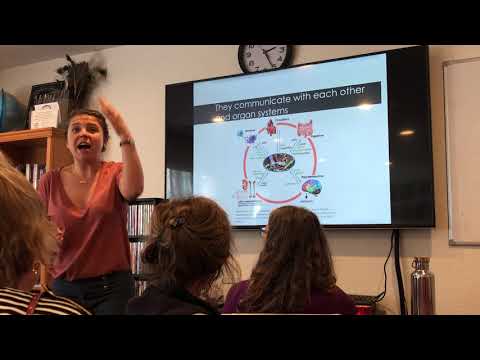 Dr Csilla Veress Gut Microbiome TrueNorth Health Center