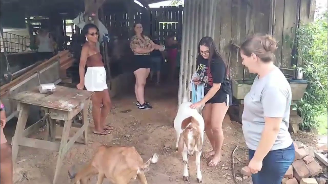 Doutor Pedrinho 11 de janeiro 2026