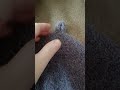 Трендовая шапка с петелькой! Купить в описании!