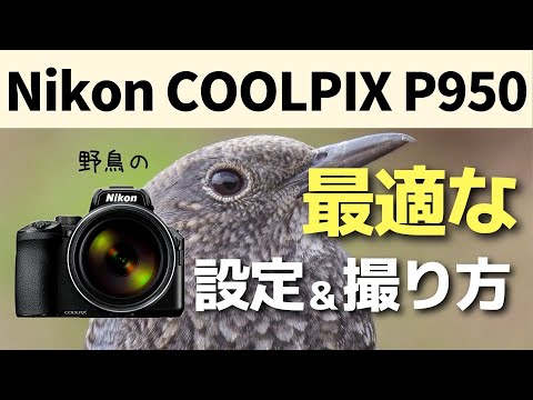 Nikon coolpix p950　おまけ付き Nikon Coolpix P950 16MP 4K Digital Camera with 83x Optical