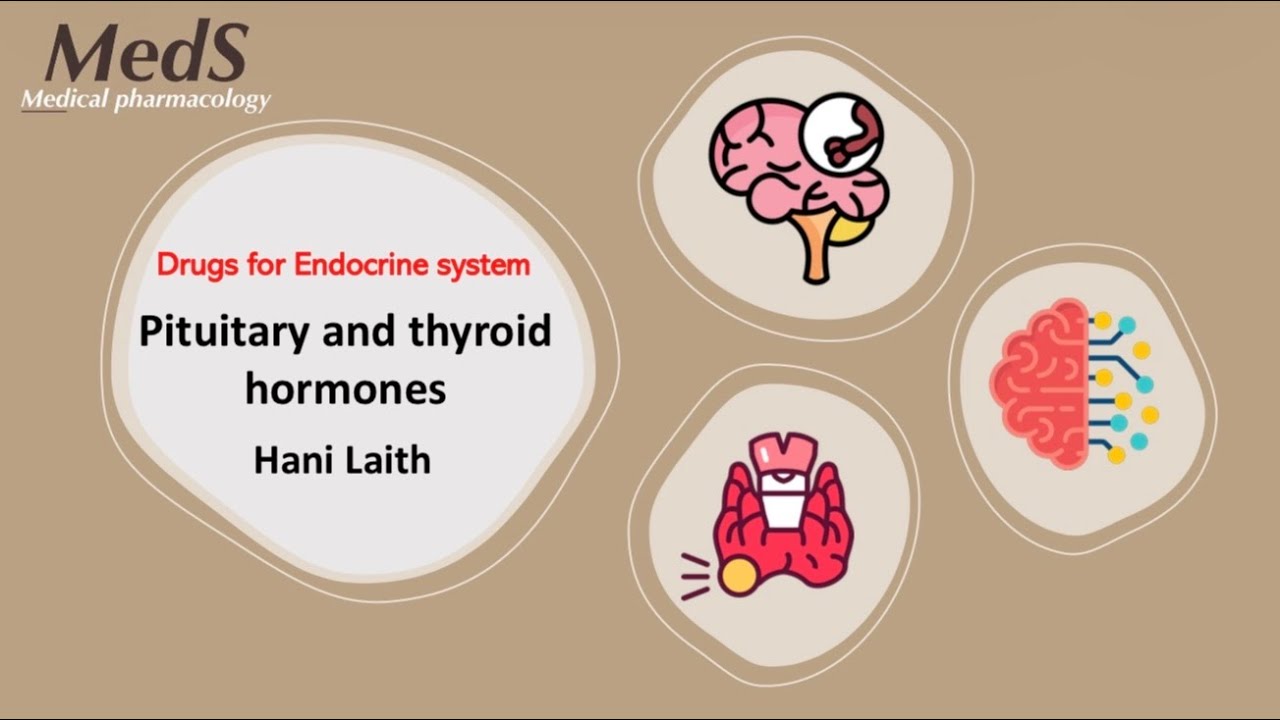 Pituitary hormones l Lec.I  فارما مرحلة رابعة وزاري المحاضرة الاولى 