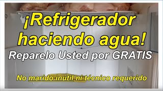Refrigerador Tiene Fugas De Agua Cómo Reparar El Problema Cuando El Frigorífico Hace Agua