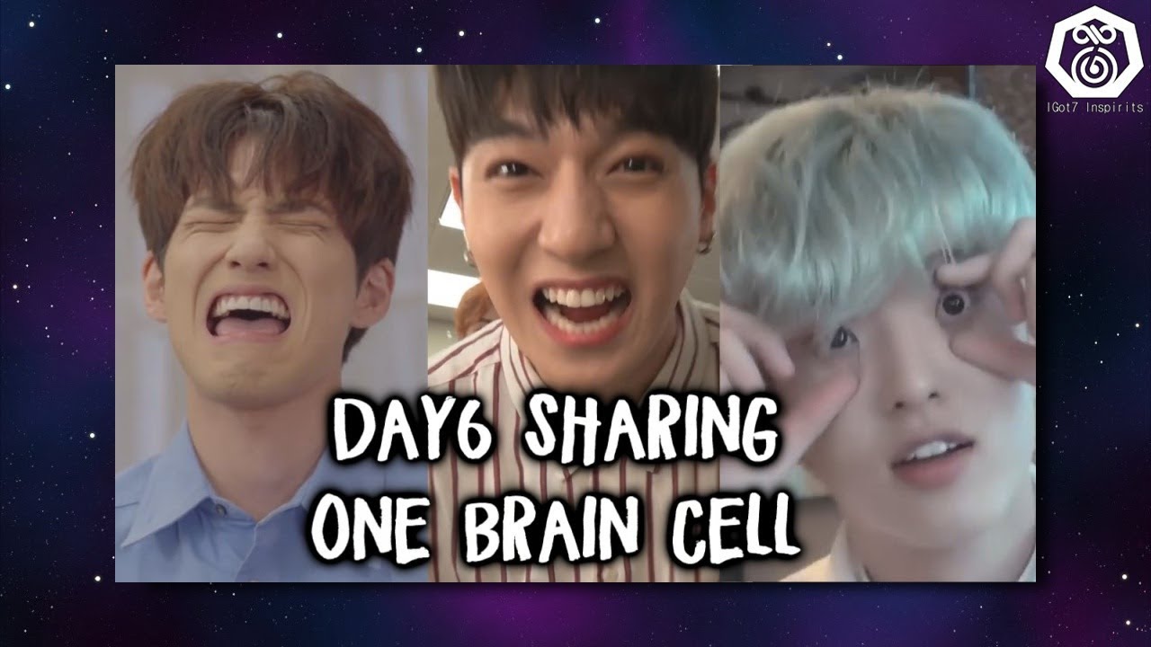 Day6 sharing their only brain cell