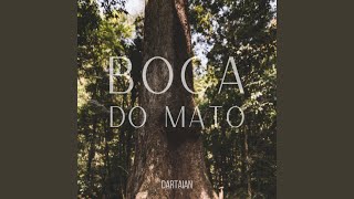 Vídeo de Boca Do Mato