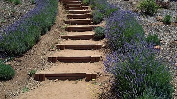 How To Calculate Vertical Hillside Rise to Build Stairs