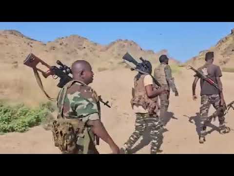 ١٢ أكتوبر ٢٠٢٤