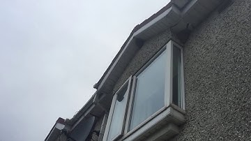 Swallow flying to nest in slow motion