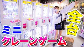 ミニクレーンゲーム全台日本一のゲームセンターエブリデイとってき屋何個取れる【クレーンゲーム】