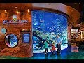 Silverton Casino & Bass Pro Shops in Las Vegas! - YouTube