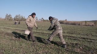 Павлодарская область присоединилась к акции «Таза Қазақстан»