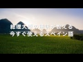 スペイン語挨拶「良いお年を！」/　大統領の通訳が教えるスペイン語