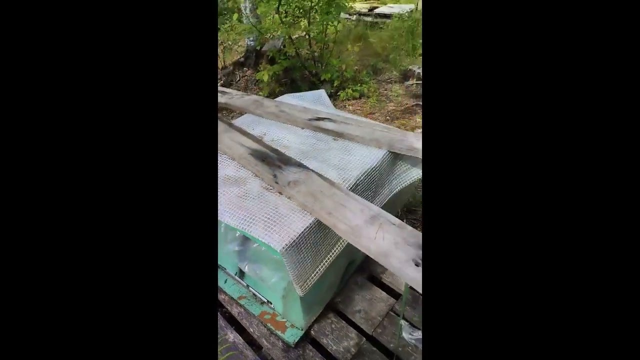 Охрана пасеки.