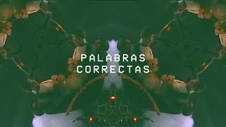 Green Fuckers - Palabras Correctas