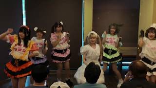 【Flum*Flum】RBM LIVE
